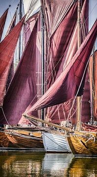 red sails by Daniela Beyer