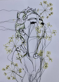 'Lady Parsley' von Kim Rijntjes