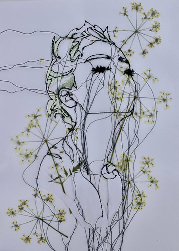 'Lady Parsley'