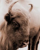 Primal Sepia 3