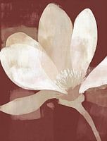 Magnolie im Kontrast