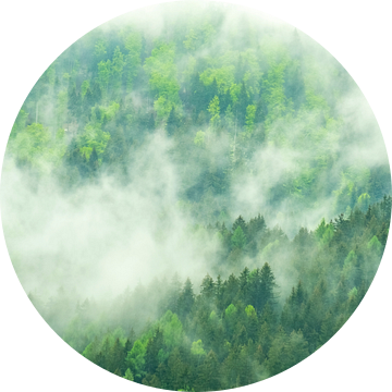 Wolken boven het bos in de Alpen van Sjoerd van der Wal Fotografie