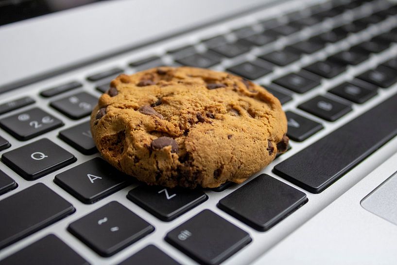 Biscuit on the keyboard by Rutmer Visser
