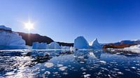 IJsbergen in Røde Ø, Scoresby Sund, Groenland van Henk Meijer Photography thumbnail