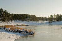 Sneeuw en ijs bij de Bergse Heide in Bergen op Zoom