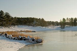 Schnee und Eis in der Bergse Heide in Bergen op Zoom