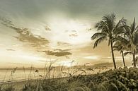 BONITA BEACH Zonsondergang | Vintage van Melanie Viola thumbnail