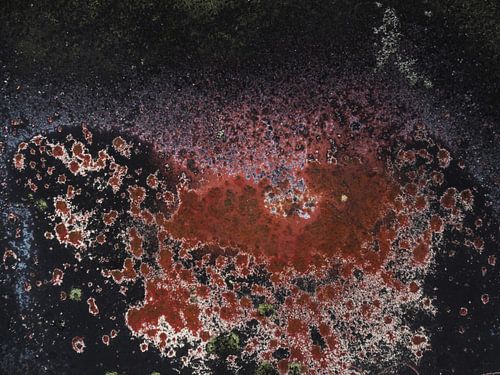 Autowrak met roest 14