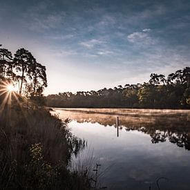 Zonsopkomst met mist van Renske Spijkers