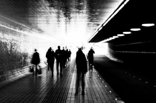 Who are we? And where are we going?