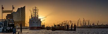 Panorama van een zonsopgang in de haven van Hamburg van Jonas Weinitschke