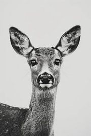 Reh von Poster Art Shop