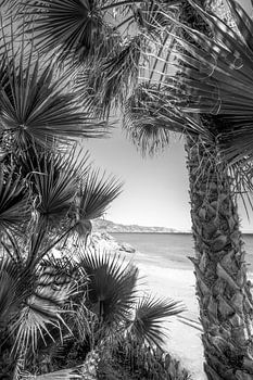 Plage de la Costa del Sol en noir et blanc