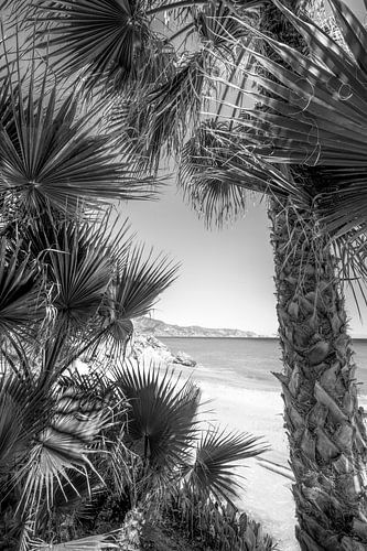 Strand an der Costa del Sol in schwarz-weiß