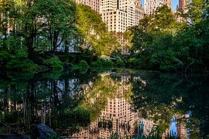Central Park New York City by Eddy Westdijk