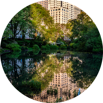 Central Park New York City van Eddy Westdijk