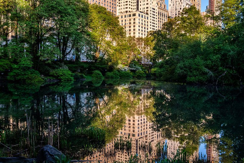 Central Park New York City van Eddy Westdijk