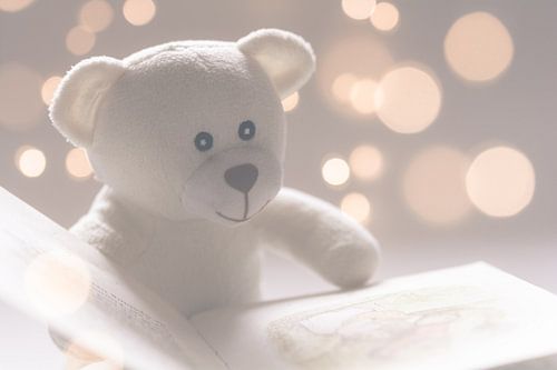 Sweet cuddly bear with book in pastel colors
