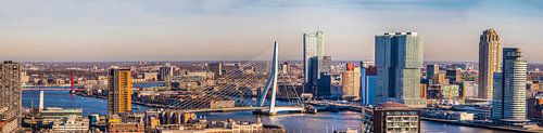 Panorama Rotterdam met de twee bruggen