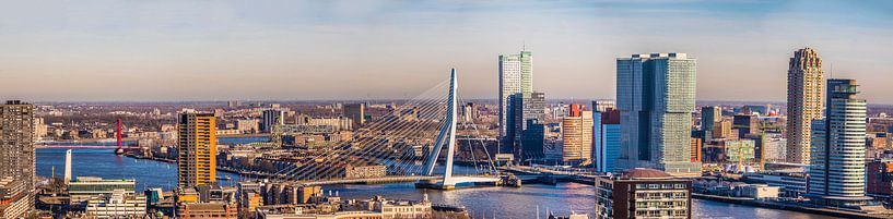 Panorama Rotterdam met de twee bruggen van Fred Leeflang