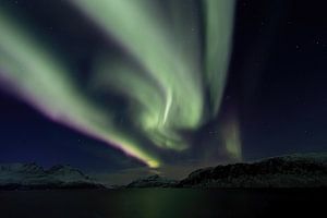 Noord-Noorwegen - Winterland schittert in de Aurora Borealis van AylwynPhoto