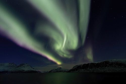 Nord de la Norvège - Le pays de l'hiver s'illumine d'aurores boréales