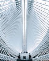 The Oculus New Tork City