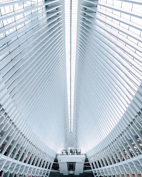 The Oculus New Tork City by Ralf Linckens