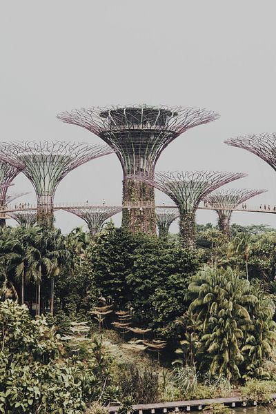 Singapore by Hello Pompoyo