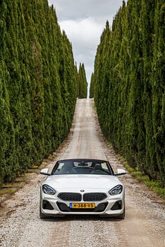 BMW Z4 sur Menno Schaefer