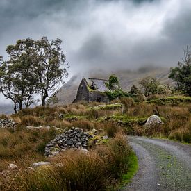 Verlassenes Haus in Irland von Hans Brasz