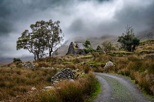 Verlassenes Haus in Irland von Hans Brasz