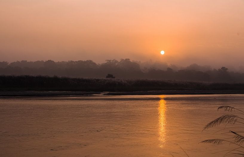 Sonnenaufgang im Dschungel von Joep van de Zandt