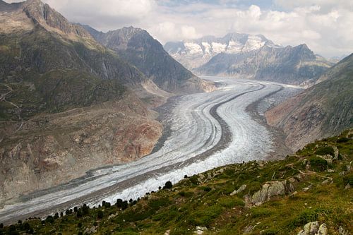 The Great Aletsch Glacier in Switzerland