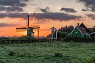 Sonnenaufgang an der Zaanse Schans von Jeroen de Jongh Miniaturansicht