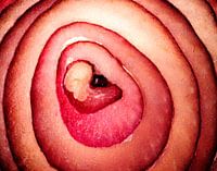 Geboorte