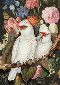 LoveBirds
