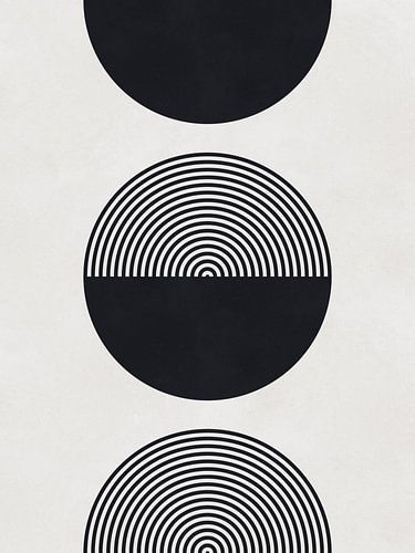 Cirkels en halve cirkels 14