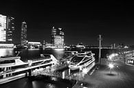 De Rotterdamse Haven vanaf de Erasmusbrug zwart-wit  von Dexter Reijsmeijer Miniaturansicht