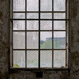 Raam met gaas von Gerard Oonk