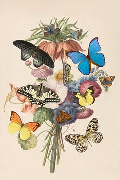 Fleurs et papillons sur Elles Rijsdijk