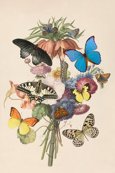 Flowers and butterflies by Elles Rijsdijk