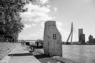 Rotterdam Erasmusbrug van Bianca  Hinnen thumbnail