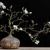 Magnolia  in vaas van Klaartje Majoor