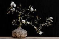 magnolia en vase sur Klaartje Majoor Aperçu
