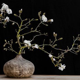 Continu Soeverein periodieke Magnolia in vaas van Klaartje Majoor op canvas, behang en meer