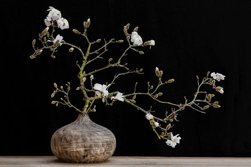 magnolia in vase by Klaartje Majoor