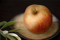 Appel van Valerie Boehlen thumbnail
