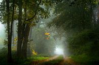 Misty Road by Kees van Dongen thumbnail