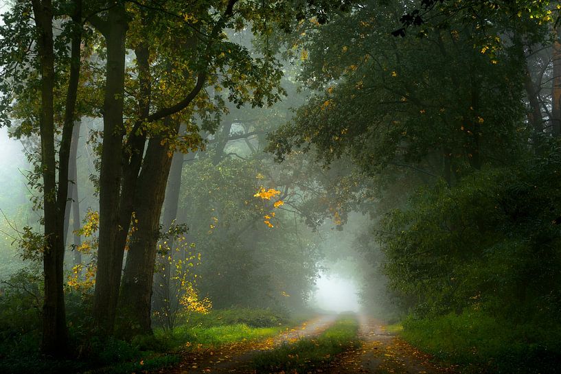 Misty Road by Kees van Dongen